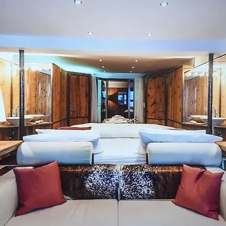 Contemporary Luxury Ski In